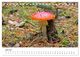 Thumbnail-11