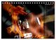 Thumbnail-14