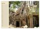 Thumbnail-10