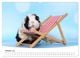 Thumbnail-11
