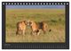 Thumbnail-9
