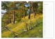 Thumbnail-12