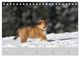 Thumbnail-8