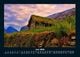 Thumbnail-10