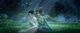 Thumbnail-11