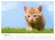 Thumbnail-10