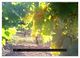 Thumbnail-9
