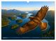 Thumbnail-10