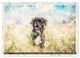 Thumbnail-12