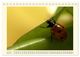 Thumbnail-9