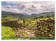Thumbnail-14