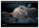 Thumbnail-10