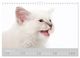 Thumbnail-10