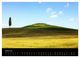Thumbnail-10