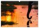 Thumbnail-14