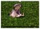 Thumbnail-12