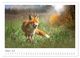 Thumbnail-12