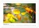 Thumbnail-11