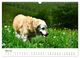 Thumbnail-9