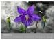 Thumbnail-11