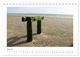 Thumbnail-11