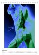Thumbnail-11