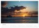 Thumbnail-10