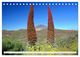 Thumbnail-8
