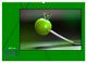 Thumbnail-11