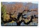 Thumbnail-12