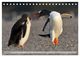 Thumbnail-14