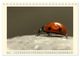 Thumbnail-10