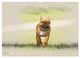 Thumbnail-9