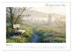 Thumbnail-8