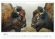 Thumbnail-12