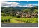 Thumbnail-8