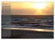 Thumbnail-13