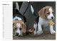 Thumbnail-11