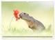 Thumbnail-14