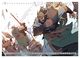 Thumbnail-13