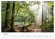 Thumbnail-11