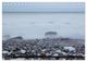Thumbnail-14