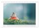 Thumbnail-9