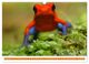 Thumbnail-14