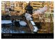 Thumbnail-14