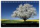 Thumbnail-10