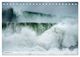 Thumbnail-14