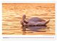 Thumbnail-11