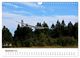 Thumbnail-14