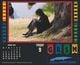 Thumbnail-8
